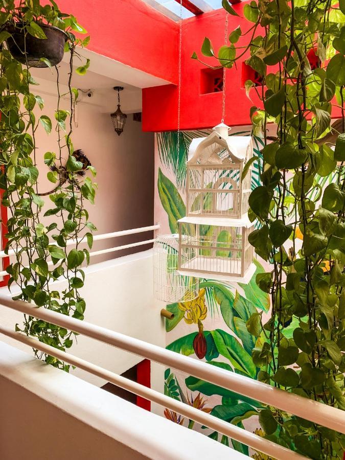 La Iguana Vallarta LGBT Experience - Romantic Zone Puerto Vallarta Esterno foto